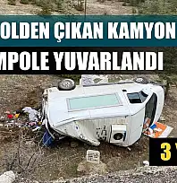 Kontrolden çıkan kamyonet şarampole yuvarlandı: 3 yaralı