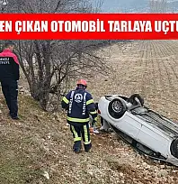 Kontrolden çıkan otomobil tarlaya uçtu 2 yaralı