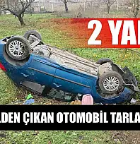 Kontrolden çıkan otomobil tarlaya uçtu: 2 yaralı