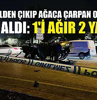 Kontrolden çıkıp ağaca çarpan otomobil alev aldı: 1'i ağır 2 yaralı
