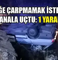 Köpeğe Çarpmamak İsterken Kanala Uçtu: 1 Yaralı