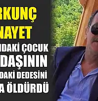 Korkunç cinayet: 13 yaşındaki çocuk, arkadaşının 60 yaşındaki dedesini silahla öldürdü