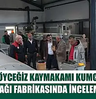Köyceğiz Kaymakamı Kumcu, zeytinyağı fabrikasında inceleme yaptı