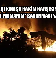 Kundakçı komşu hakim karşısına çıktı: 'Çok pişmanım' savunması yaptı