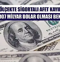 Küresel ölçekte sigortalı afet kayıplarının 2025'te 107 milyar dolar olması bekleniyor