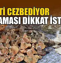 Lezzeti cezbediyor, toplaması dikkat istiyor