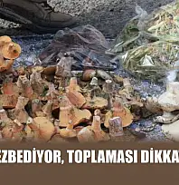 Lezzeti cezbediyor, toplaması dikkat istiyor