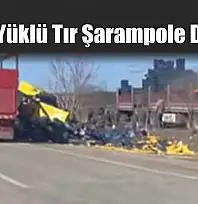 Limon Yüklü Tır Şarampole Devrildi