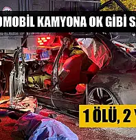 Lüks otomobil kamyona ok gibi saplandı: 1 ölü, 2 yaralı
