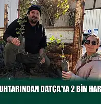 Mahalle muhtarından Datça'ya 2 bin harnup fidanı