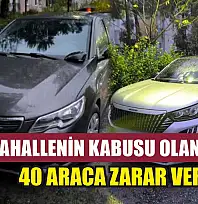 Mahallenin kabusu olan avukat 40 araca zarar verdi