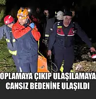 Mantar toplamaya çıkıp ulaşılamayan adamın cansız bedenine ulaşıldı