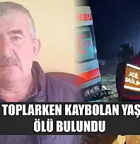 Mantar toplarken kaybolan yaşlı adam ölü bulundu