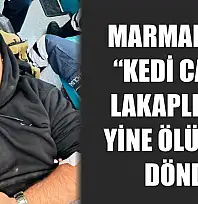 Marmaris'in 'kedi canlı' lakaplı ismi yine ölümden döndü