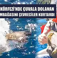 Marmaris Körfezi'nde çuvala dolanan deniz kaplumbağasını çevreciler kurtardı