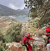 Marmaris'te kayalıklarda mahsur kalan köpek, keçi ve oğlak kurtarıldı