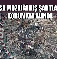 Medusa mozaiği kış şartları için korumaya alındı