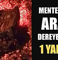 Menteşe'de araç dereye uçtu: 1 yaralı
