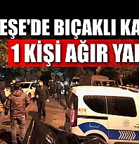 Menteşe'de bıçaklı kavga:1 kişi ağır yaralı
