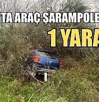 Milas'ta araç şarampole uçtu: 1 yaralı