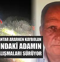 Milas'ta mantar ararken kaybolan 70 yaşındaki adamın arama çalışmaları sürüyor