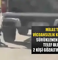 Milas'ta vicdansızlık kamerada: Sürüklenen köpek telef oldu, 2 kişi gözaltına alındı