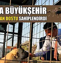 Muğla Büyükşehir 4 bin 34 can dostu sahiplendirdi