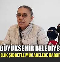 Muğla Büyükşehir Belediyesi'nden kadına yönelik şiddetle mücadelede kararlı adımlar