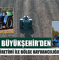 Muğla Büyükşehir'den Kaba Yem Üretimi ile Bölge Hayvancılığına Destek