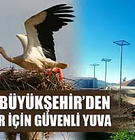 Muğla Büyükşehir'den Leylekler İçin Güvenli Yuva