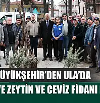 Muğla Büyükşehir'den Ula'da Üreticiye Zeytin ve Ceviz Fidanı Desteği