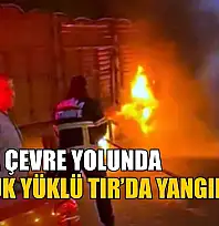 Muğla çevre yolunda tomruk yüklü tırda yangın çıktı