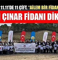Muğla'da 11.11'de 11 çift, 'Ailem Bir Fidan' diyerek 11 çınar fidanı dikti