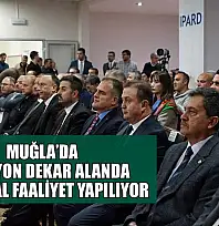 Muğla'da 2 milyon dekar alanda tarımsal faaliyet yapılıyor