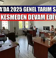 Muğla'da 2025 Genel Tarım Sayımı Hız Kesmeden Devam Ediyor