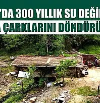 Muğla'da 300 yıllık su değirmeni hala çarklarını döndürüyor