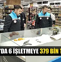 Muğla'da 6 işletmeye 379 bin TL ceza