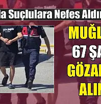 Muğla'da 67 şahıs gözaltına alındı