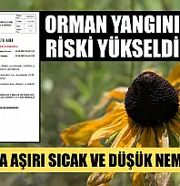 Muğla'da Aşırı Sıcak ve Düşük Nem Uyarısı: Orman Yangını Riski Yükseldi