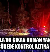 Muğla'da çıkan orman yangını kısa sürede kontrol altına alındı