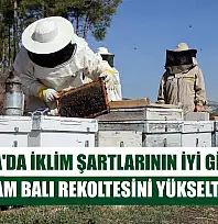 Muğla'da iklim şartlarının iyi gitmesi çam balı rekoltesini yükseltti