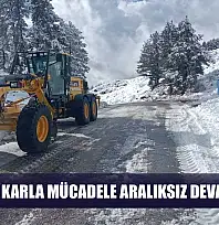 Muğla'da karla mücadele aralıksız devam ediyor