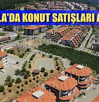 Muğla'da konut satışları arttı
