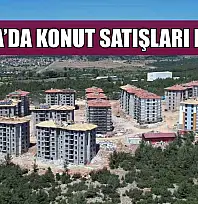 Muğla'da konut satışları düştü