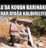 Muğla'da kovan barınakları tekrar ayağa kaldırılıyor