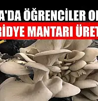 Muğla'da öğrenciler okulda istiridye mantarı üretiyor