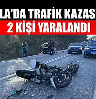 Muğla'da trafik kazasında 2 kişi yaralandı