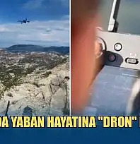 Muğla'da yaban hayatına 'dron' kalkanı