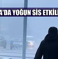 Muğla'da yoğun sis etkili oldu