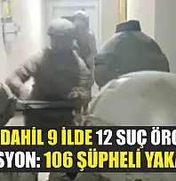 Muğla Dahil 9 İlde 12 Suç Örgütüne Operasyon: 106 Şüpheli Yakalandı